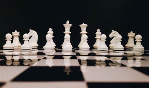 bet365 xadrez